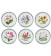 Набор тарелок столовых "Экзотические цветы" 27 см, 6 шт